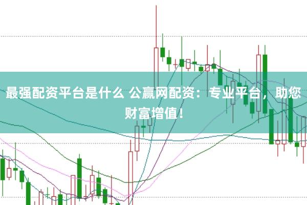 最强配资平台是什么 公赢网配资：专业平台，助您财富增值！