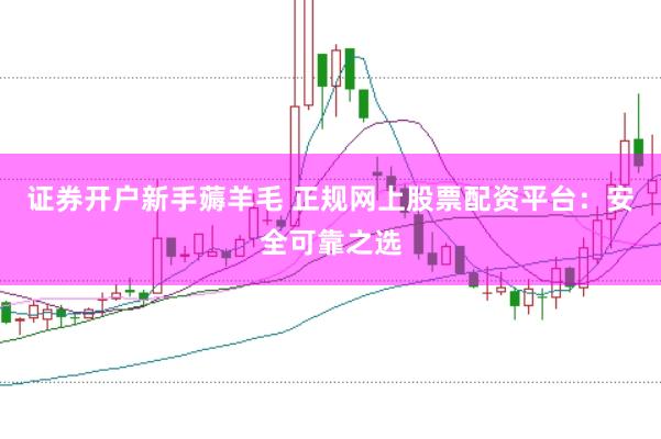证券开户新手薅羊毛 正规网上股票配资平台：安全可靠之选