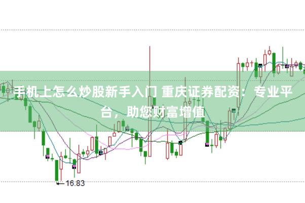 手机上怎么炒股新手入门 重庆证券配资：专业平台，助您财富增值