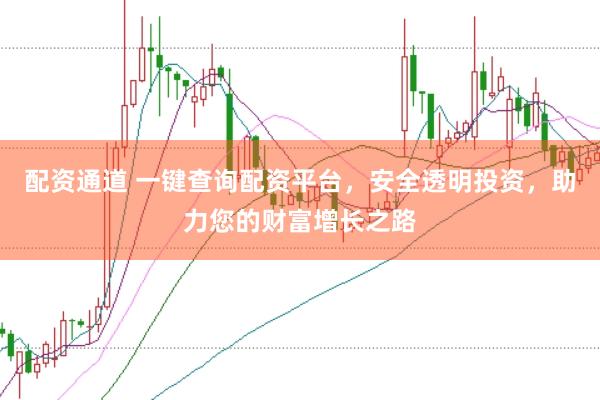 配资通道 一键查询配资平台，安全透明投资，助力您的财富增长之路