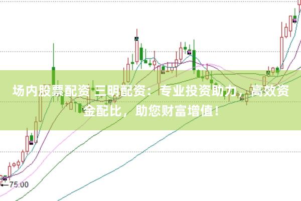 场内股票配资 三明配资：专业投资助力，高效资金配比，助您财富增值！
