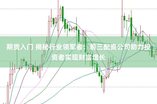 期货入门 揭秘行业领军者：前三配资公司助力投资者实现财富增长