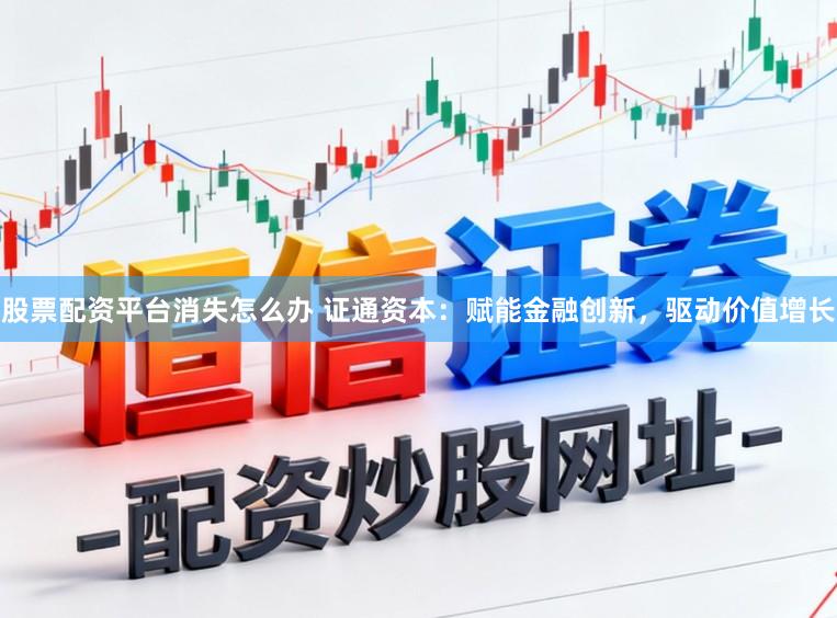 股票配资平台消失怎么办 证通资本：赋能金融创新，驱动价值增长
